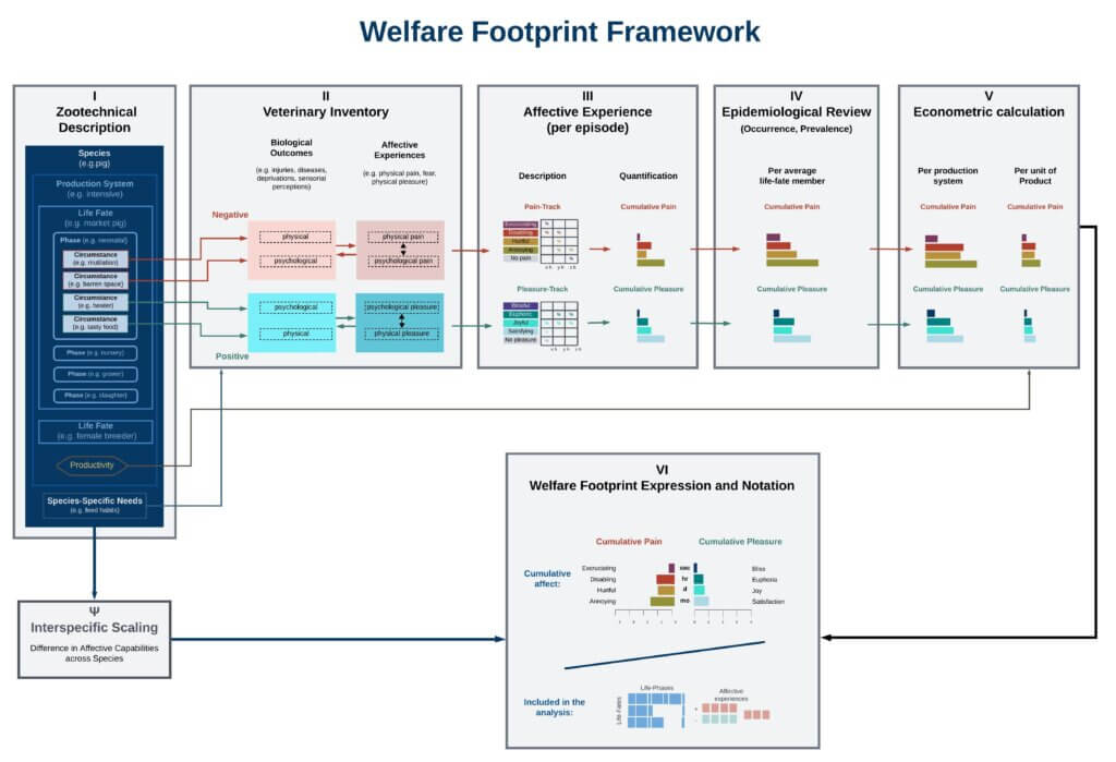 This diagram outlines the step-by-step process of calculating a Welfare Footprint, from describing living conditions to quantifying welfare per unit of animal product.